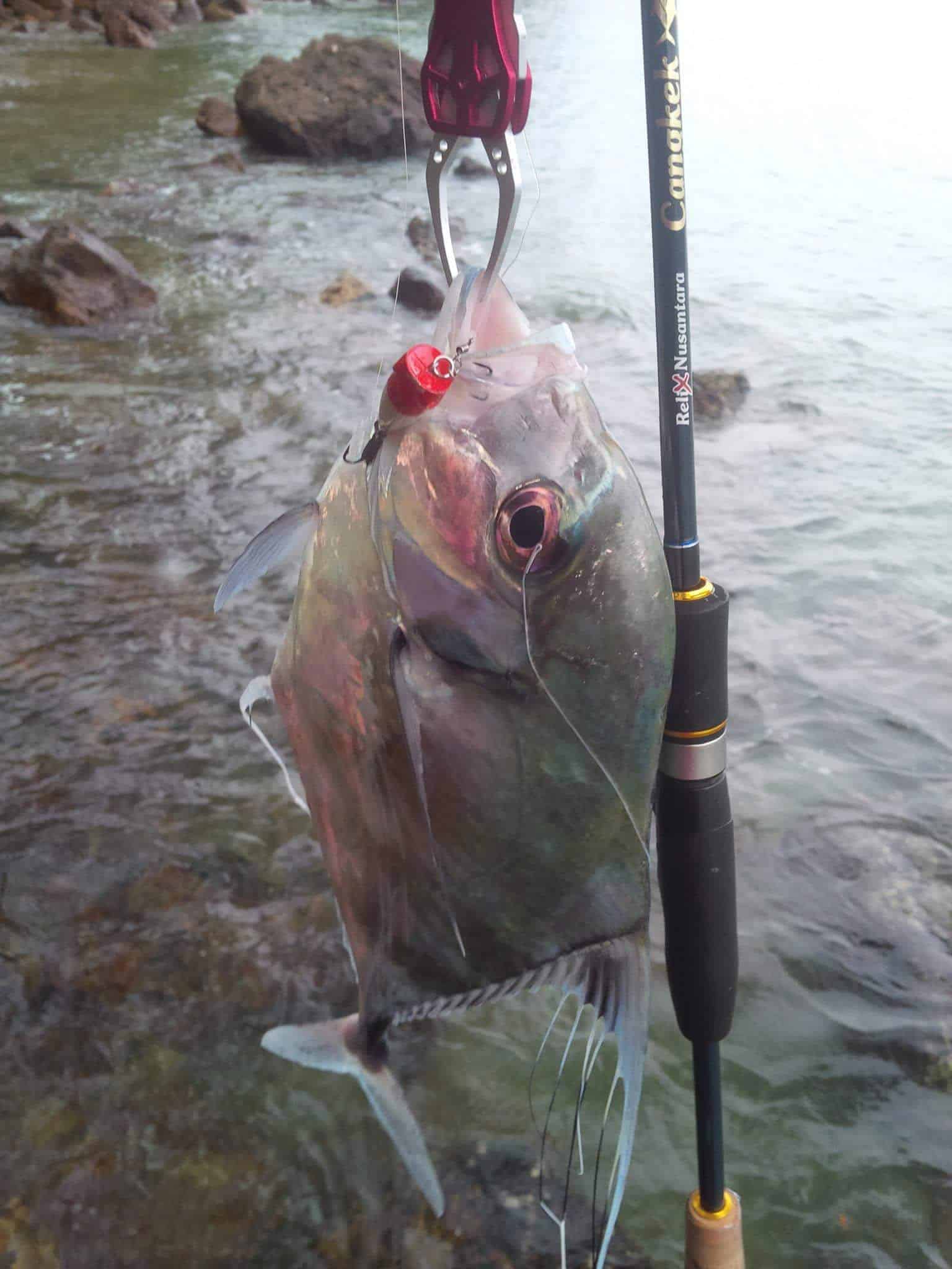 Mengenal Ultra Light Fishing