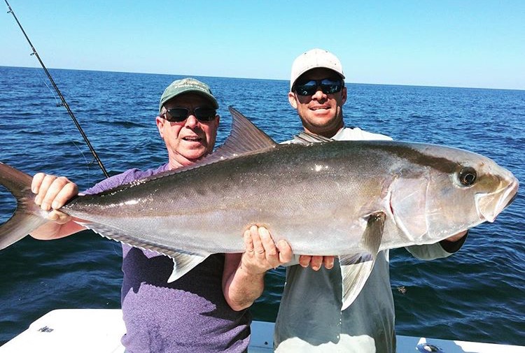 Mancing ikan Amberjack