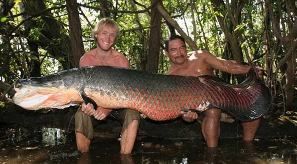 Mancing Di Sungai Amazon