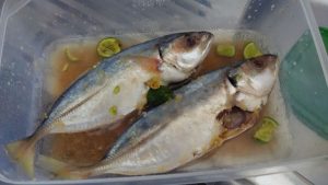 Manfaat dan Khasiat Ikan Kembung