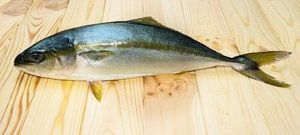 Manfaat dan Khasiat Ikan Ciling-ciling