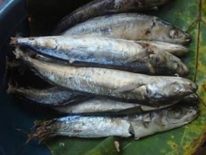 Manfaat dan Khasiat Ikan Pindang