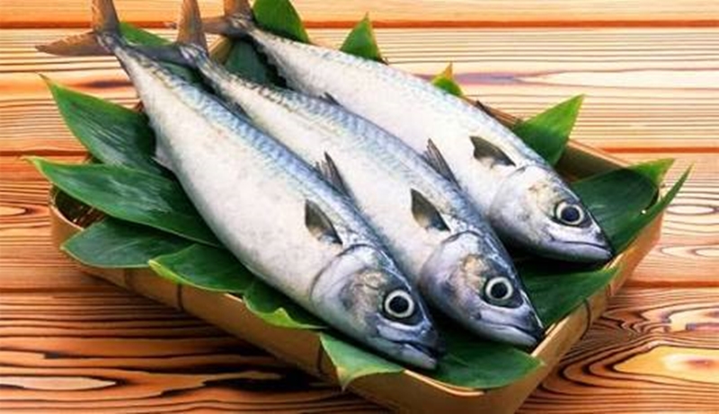 Tips Menjaga Kesegaran Ikan Tangkapan Ala Jepang