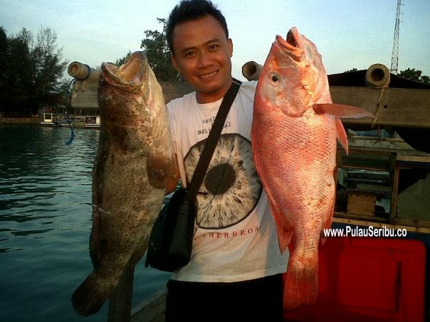 spot pulau seribu