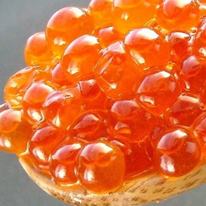 Racikan Umpan GT Bawal