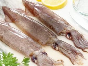 Manfaat dan Khasiat Sotong