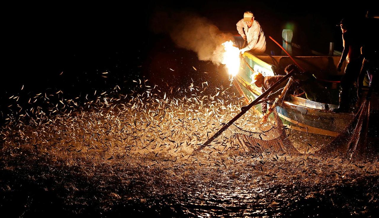 Tradisi Mancing Ikan Sardine Menggunakan Tongkat Api di Negara Taiwan