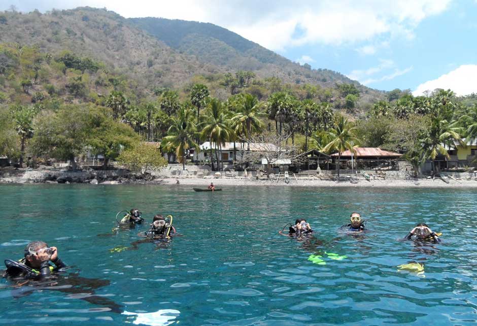 pulau alor