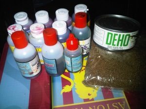 Mengenal kebiasaan makan ikan