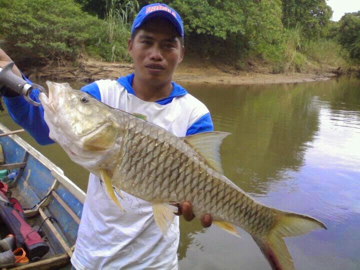 Mengenal Karakter Ikan