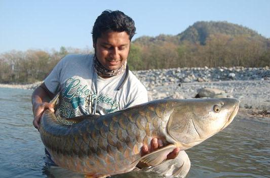 mancing mahseer di Tawangmangu