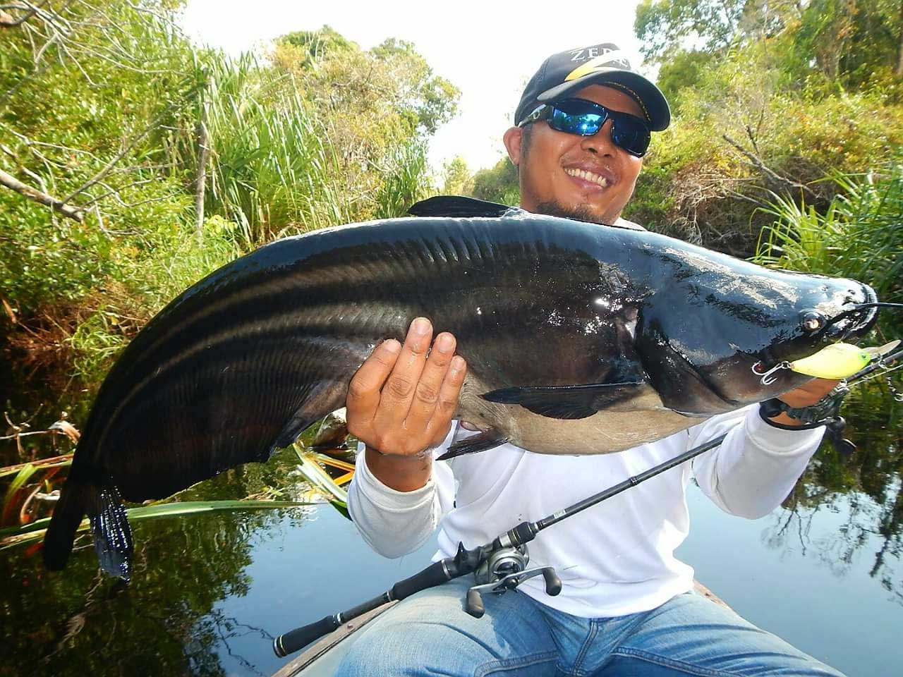 Tips Sukses Mancing Ikan Tapah