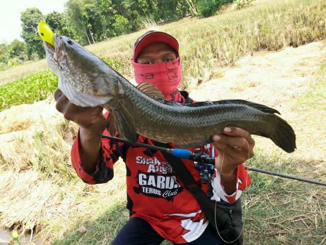Leuwi Goong