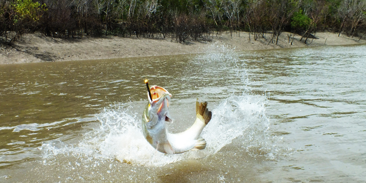 Kolam Pemancingan Pondok Barramundi