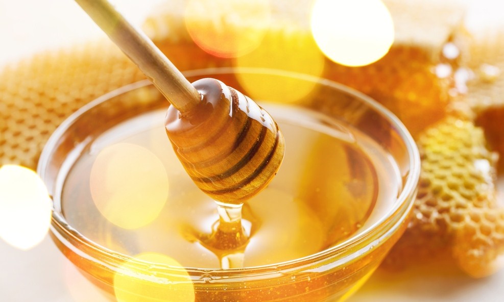 Umpan Ikan Patin Menggunakan Madu Dan Kuning Telur