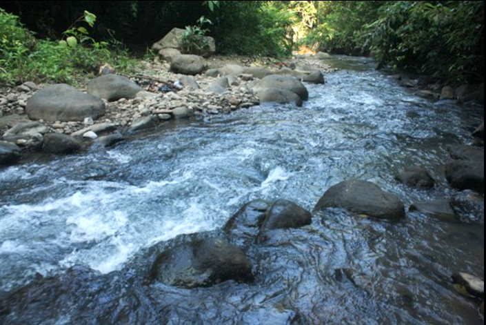 Samalehoy