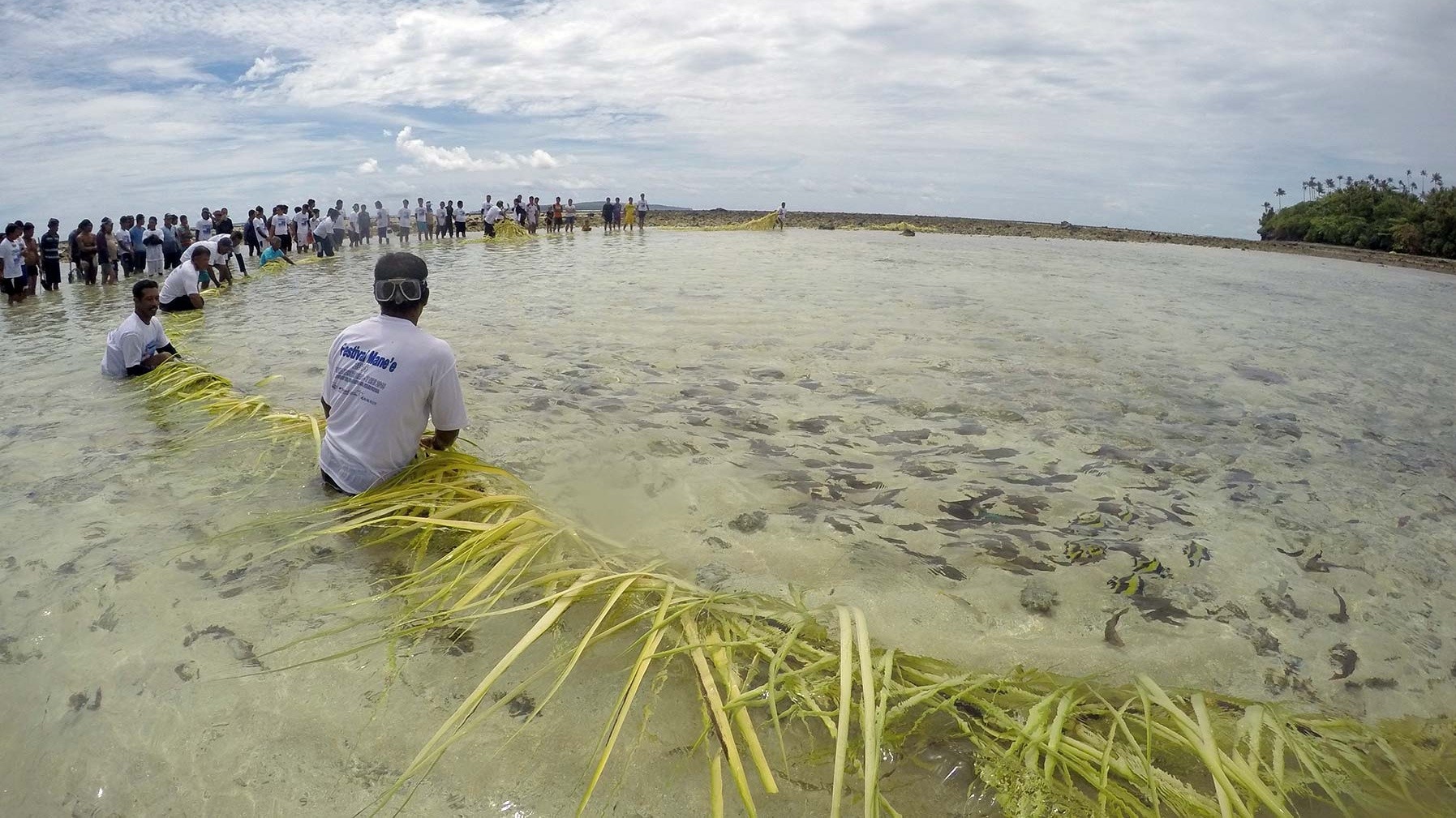 Mane’e Tradisi Kuno Menangkap Ikan Masyarakat Pulau Intata Sulawesi Utara