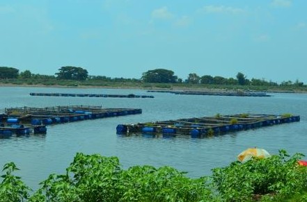 Waduk Mulur Sukoharjo