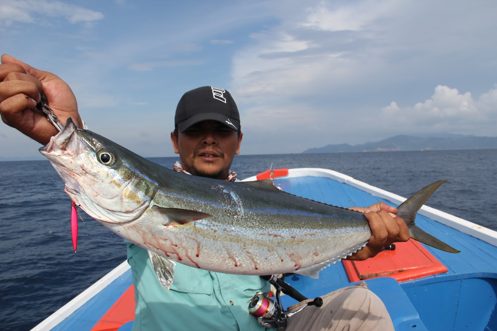 8 Khasiat Alami Ikan Rainbow Runner Bagi Kesehatan Tubuh Manusia