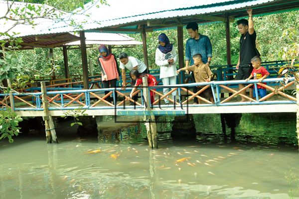 Spot Mancing di Rawa Bangun