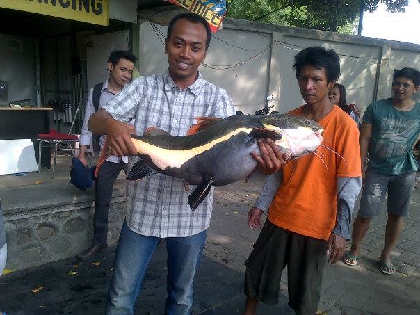 Balekambang Solo