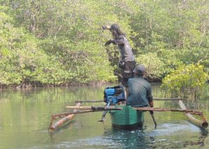 Teknik Skipping Dalam Casting