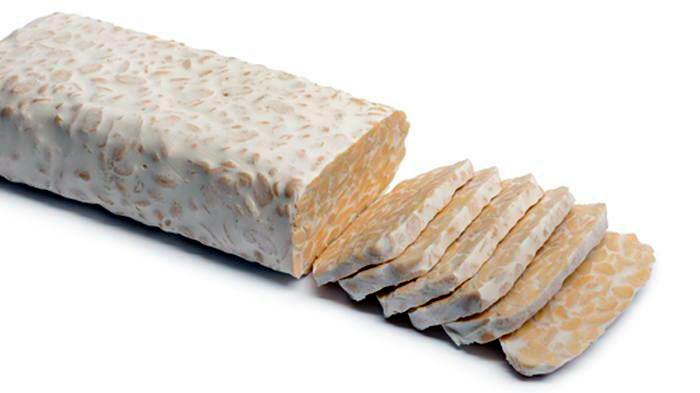 Umpan Ikan Nilem Menggunakan Tempe