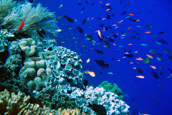 Sukses Memancing Dengan Mengetahui Gejala Alam